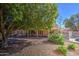Lush backyard oasis with a covered patio and well-maintained landscaping, perfect for outdoor living and entertainment at 13214 S 39Th St, Phoenix, AZ 85044