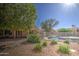 Serene backyard showcasing mature trees, a landscaped area, and the home's exterior, creating a private retreat at 13214 S 39Th St, Phoenix, AZ 85044