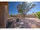 Wide backyard featuring a large shade tree, storage shed, and a small generator at 13214 S 39Th St, Phoenix, AZ 85044