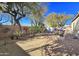 A spacious backyard is landscaped with flowering plants, mature trees and low maintenance desert landscaping at 22436 N 48Th St, Phoenix, AZ 85054