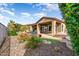 Backyard featuring hardscape, grass, palm trees, and relaxing lounge chairs at 29412 N 128Th Ln, Peoria, AZ 85383