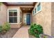 Inviting front entrance with a blue door, manicured landscaping, and a charming walkway at 29412 N 128Th Ln, Peoria, AZ 85383