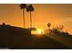 Beautiful view of the sunrise shining through the palm trees at 3031 N Civic Center Plz # 261, Scottsdale, AZ 85251