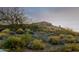 Wide angle exterior view of hillside home surrounded by desert landscaping at 3101 E Acoma Dr, Phoenix, AZ 85032