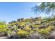 Exterior landscape shot of home exterior surrounded by lush desert landscaping at 3101 E Acoma Dr, Phoenix, AZ 85032