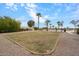 Expansive yard featuring desert landscaping and mature palm trees, perfect for outdoor activities at 5203 N 179Th Dr, Litchfield Park, AZ 85340