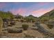Desert backyard featuring tasteful landscaping, bushes, and rock features at 9515 E Julep Cir, Mesa, AZ 85207