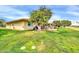 Lush backyard featuring a mature tree, perfect for outdoor activities and relaxation at 10646 W Tropicana Cir, Sun City, AZ 85351