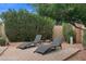 Patio with brick pavers features comfortable outdoor loungers and lush, mature landscaping at 11431 N 37Th Pl, Phoenix, AZ 85028