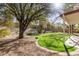 Expansive backyard featuring lush green grass, mature trees, and landscaped areas at 18421 N 12Th Way, Phoenix, AZ 85022