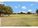 Expansive community park with lush green grass and mature shade trees under a clear sky at 19025 E Raven Dr, Queen Creek, AZ 85142