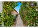 Landscaped walkway featuring mature trees and plants lead up to a well maintained backyard and outdoor space at 20551 E Mayberry Rd, Queen Creek, AZ 85142