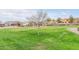 Expansive front yard features lush green grass and a beautiful tree at 2075 S Ponderosa Dr, Gilbert, AZ 85295