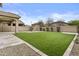 This backyard features manicured green turf, a stucco wall, and a covered patio at 3263 S Miller Dr, Chandler, AZ 85286