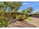 A backyard features lush landscaping, a gravel bed, a patio, and mature trees at 4221 E Sourwood Dr, Gilbert, AZ 85298