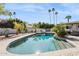 A curved sparkling pool is surrounded by lush landscaping and tall palm trees in the yard at 8709 E Mackenzie Dr, Scottsdale, AZ 85251