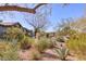 Desert landscaped front yard with gravel, native trees and bushes, agave and cacti at 2409 N 57Th St, Scottsdale, AZ 85257