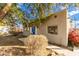 View of the exterior with a blue front door and large desert shrub at 407 E Eason Ave, Buckeye, AZ 85326