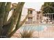Community pool with a cactus in foreground, showcasing outdoor amenities at 7740 E Heatherbrae Ave # 5, Scottsdale, AZ 85251