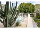 Community pool with a cactus in foreground, showcasing outdoor amenities at 7740 E Heatherbrae Ave # 5, Scottsdale, AZ 85251