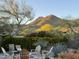 Backyard featuring a desert landscape with colorful flowers and plants and views of the surrounding mountains at 11919 N 138Th St, Scottsdale, AZ 85259