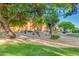 Beautifully landscaped grounds featuring desert plants, trees, and walkways, providing a tranquil outdoor space for residents at 12222 N Paradise Village S Pkwy # 337, Phoenix, AZ 85032