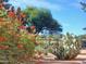 Lush desert landscaping with colorful orange flowers and various cacti, set against a sunny blue sky and distant mountains at 12222 N Paradise Village S Pkwy # 337, Phoenix, AZ 85032