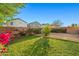 Large backyard featuring lush green grass, blooming flowers, and mature landscaping at 12947 W Mauna Loa Ln, El Mirage, AZ 85335