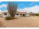 View of the home's backyard featuring desert landscaping and a covered patio area at 13110 W Blue Bonnet Dr, Sun City West, AZ 85375