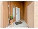 Covered entryway features security door, small window, and a potted plant at 1619 E Silverbirch Ave, Buckeye, AZ 85326