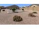 Expansive backyard featuring desert landscaping with decorative stone and a mature privacy hedge at 17542 W Pinnacle Vista Dr, Surprise, AZ 85387