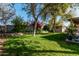 Lush green backyard with mature trees and privacy at 17634 W Hearn Rd, Surprise, AZ 85388