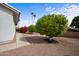 Home exterior showcasing desert landscaping with gravel, mature trees, and a walking path to the front of the property at 2568 N Armour Ave, Mesa, AZ 85215