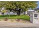 Charming single-story home with a lush green lawn and mature shade tree in front yard at 2902 E Pierson St, Phoenix, AZ 85016