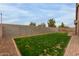 View of the backyard featuring a green lawn, gravel area, and privacy wall at 3768 S Coach House Dr, Gilbert, AZ 85297