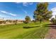 Scenic backyard view of a home featuring a lush green lawn, mature trees and manicured landscaping at 42906 W Darter Dr, Maricopa, AZ 85138