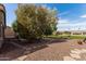 Beautiful backyard featuring desert landscaping, a stone walkway, mature trees, and a gravel ground cover at 42906 W Darter Dr, Maricopa, AZ 85138