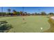 Well-maintained putting green for residents and visitors at 42906 W Darter Dr, Maricopa, AZ 85138