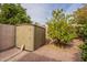 Durable outdoor storage shed complemented by a thriving citrus tree, offering practical backyard organization at 4552 E Chuckwalla Cyn, Phoenix, AZ 85044