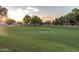 Expansive green space is perfect for recreation and relaxation at 6159 W Sequoia Dr, Glendale, AZ 85308