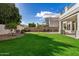 Expansive green backyard featuring mature trees and a well-maintained lawn at 901 N Woodburne Dr, Chandler, AZ 85224