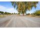 Gravel driveway leading to a charming property shaded by a mature mesquite tree at 97 W Marilyn Way, San Tan Valley, AZ 85140