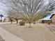 Well maintained house with xeriscaping and mature trees at 14545 S Cherry Hills Dr, Arizona City, AZ 85123