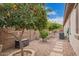 Backyard featuring multiple fruit trees and detailed stone pathway at 19318 E Walnut Rd, Queen Creek, AZ 85142