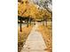 A sidewalk lined with yellow trees creates a picturesque and inviting path for a leisurely stroll at 20524 W Nelson Pl, Buckeye, AZ 85396