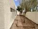 Landscaped backyard featuring trees and a lush lawn at 11609 N 30Th Ln, Phoenix, AZ 85029