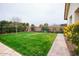 Lush green backyard featuring mature trees, flowering bushes, and a sports court with a batting cage at 19777 E Ivy Ln, Queen Creek, AZ 85142