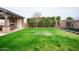 Beautiful backyard with lush green grass, mature trees, and views of the outdoor living pavilion at 19777 E Ivy Ln, Queen Creek, AZ 85142