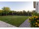 Expansive backyard featuring a lush lawn, mature trees, privacy hedges, and a charming swing set for outdoor enjoyment at 19777 E Ivy Ln, Queen Creek, AZ 85142