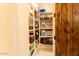 Organized linen closet with multiple shelves, baskets, and a decorative patterned wallpaper at 19777 E Ivy Ln, Queen Creek, AZ 85142